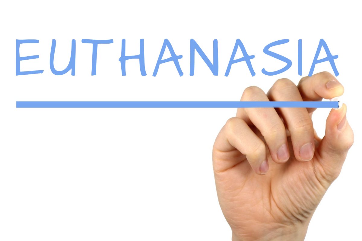 euthanasia-free-creative-commons-images-from-picserver