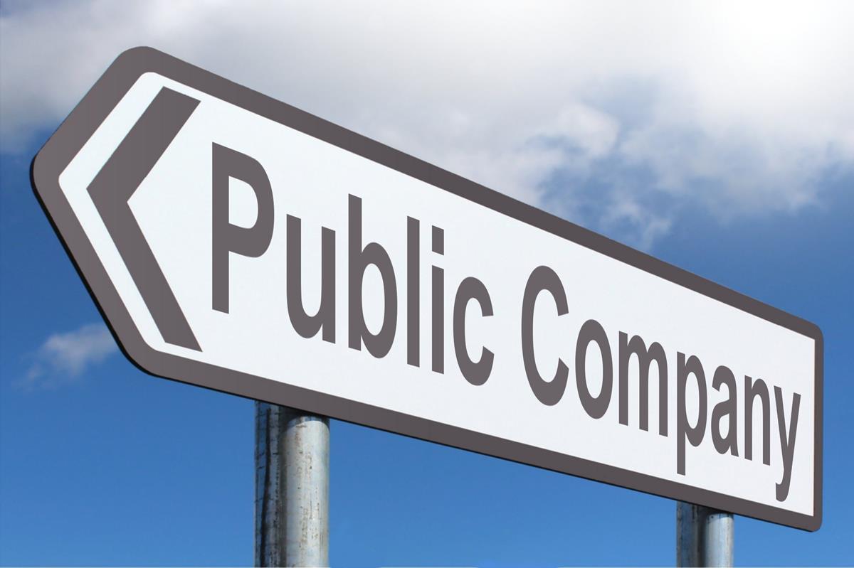 What Does A Public Company Means