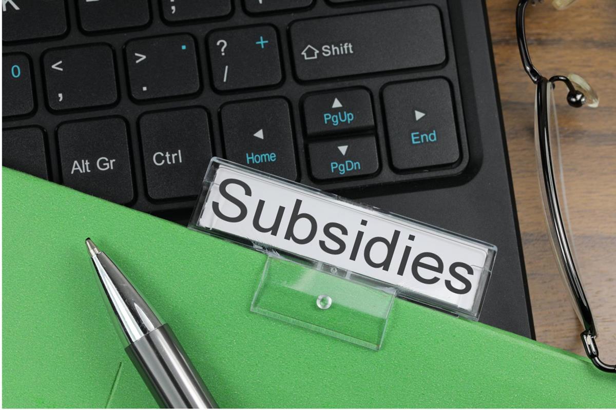 what-is-a-subsidy-definition-and-meaning-market-business-news