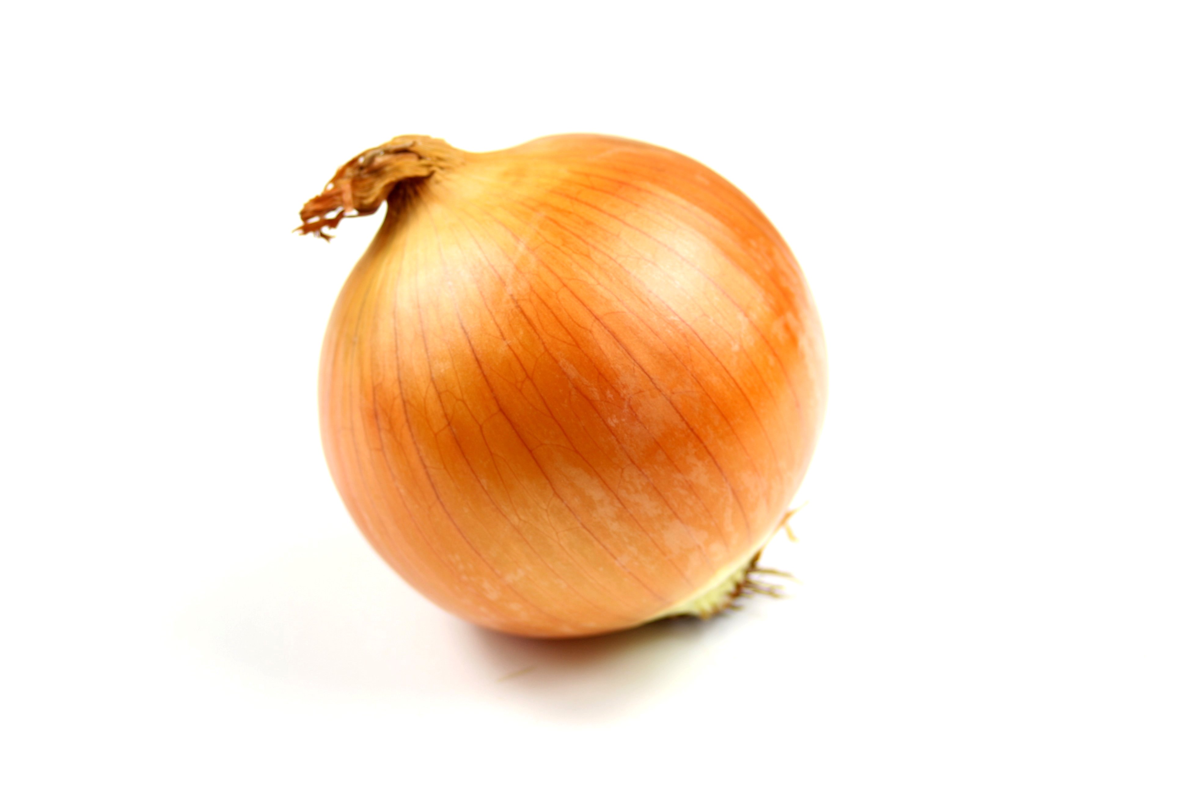 onion-free-creative-commons-images-from-picserver